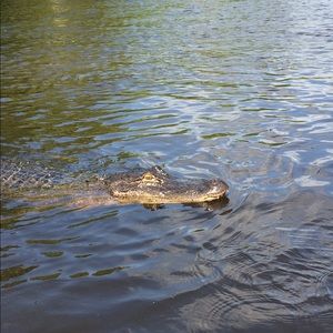 Meet your Posher, Clint